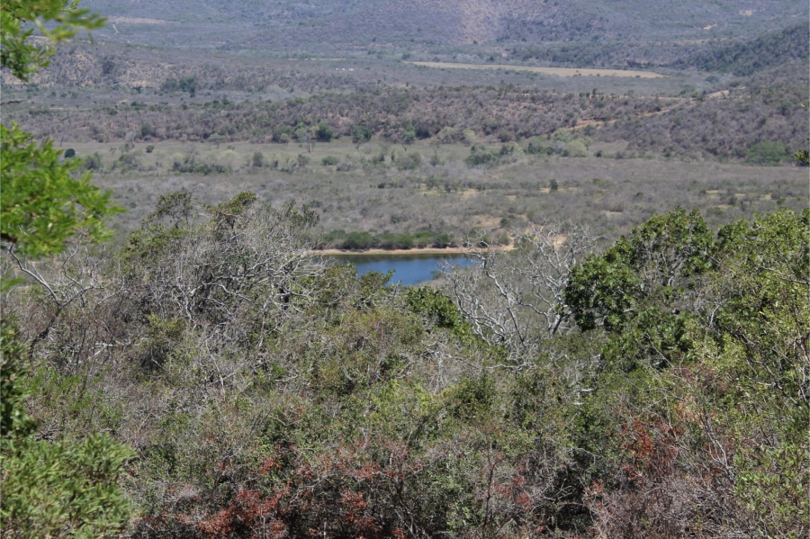 5 Bedroom Property for Sale in Mooiplaas Eastern Cape